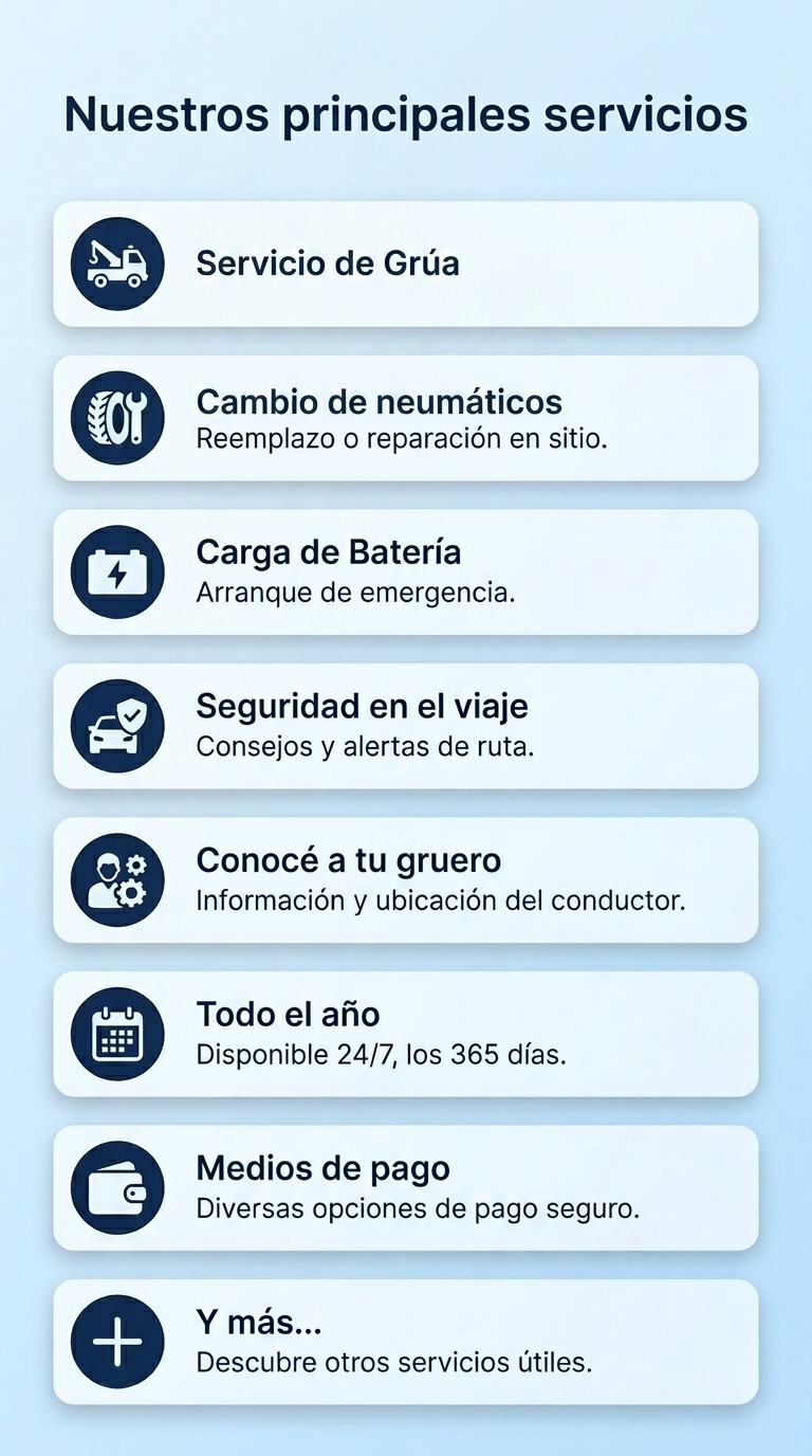 Servicios Towy's